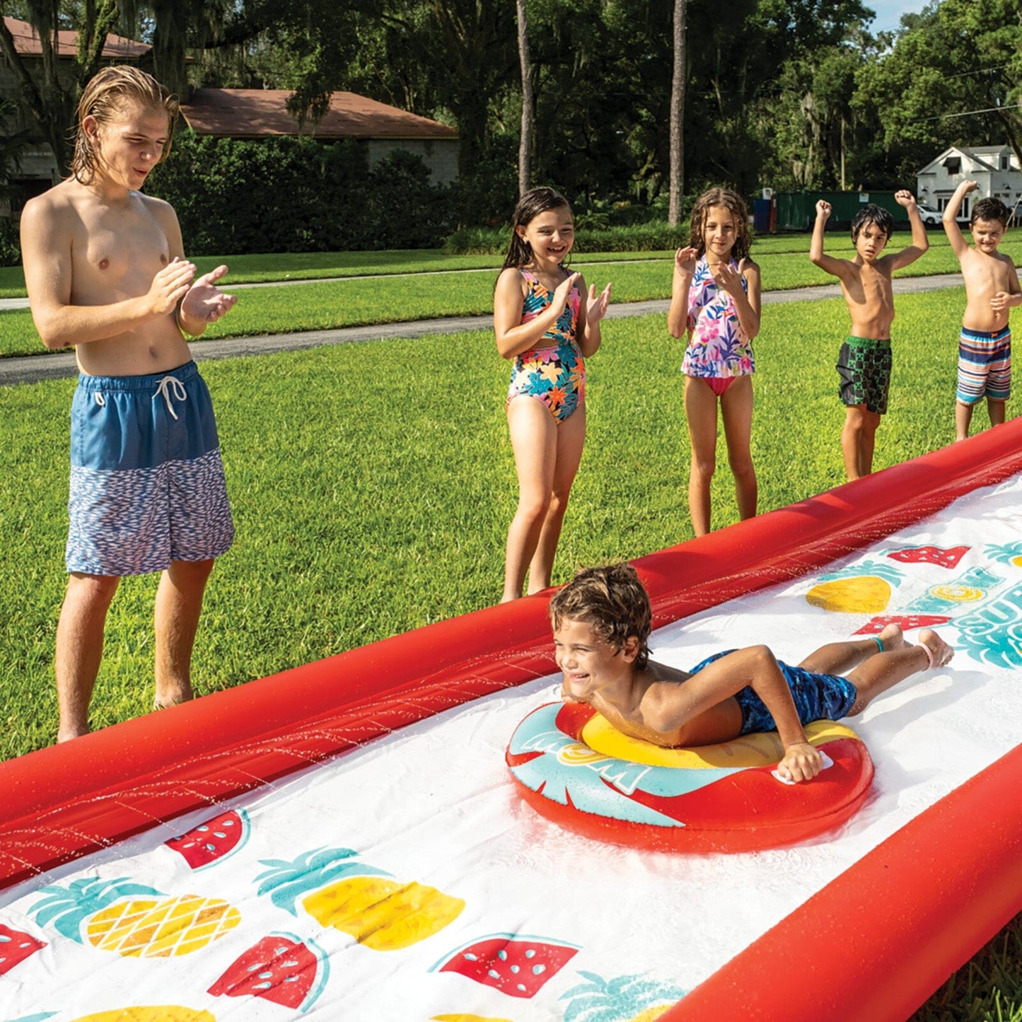 Pineapple Lawn Slide