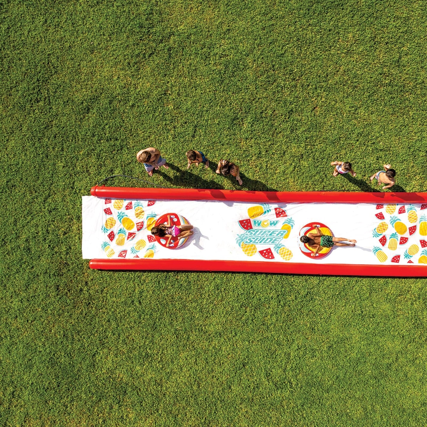Pineapple Lawn Slide